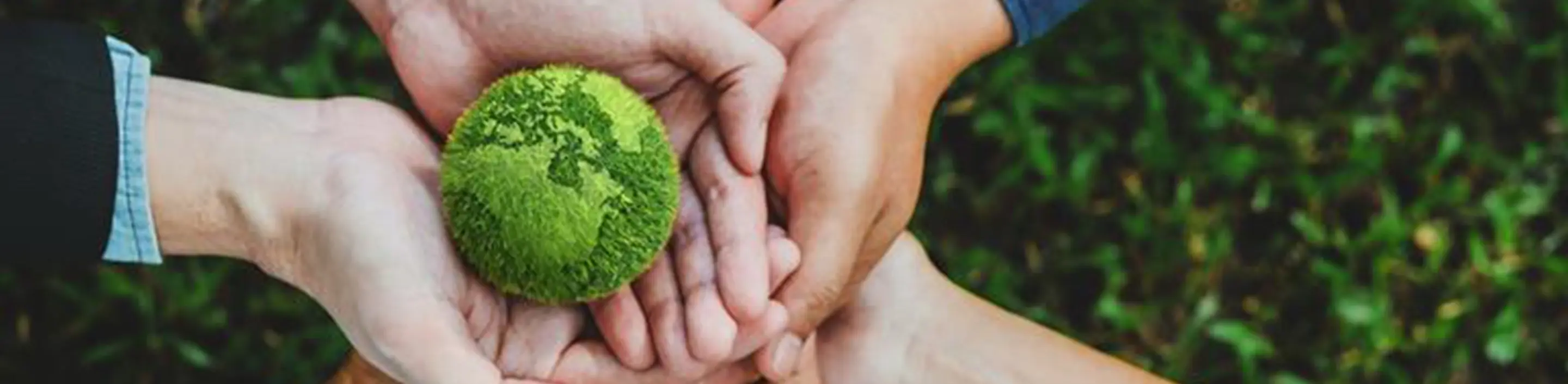 banner-sustainability-banner