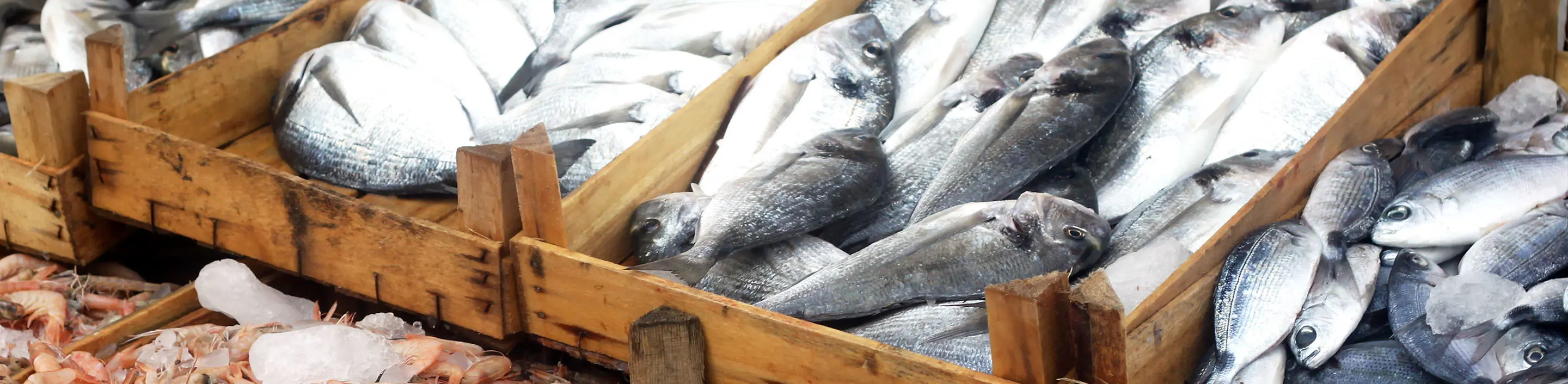 seafood-testing-header