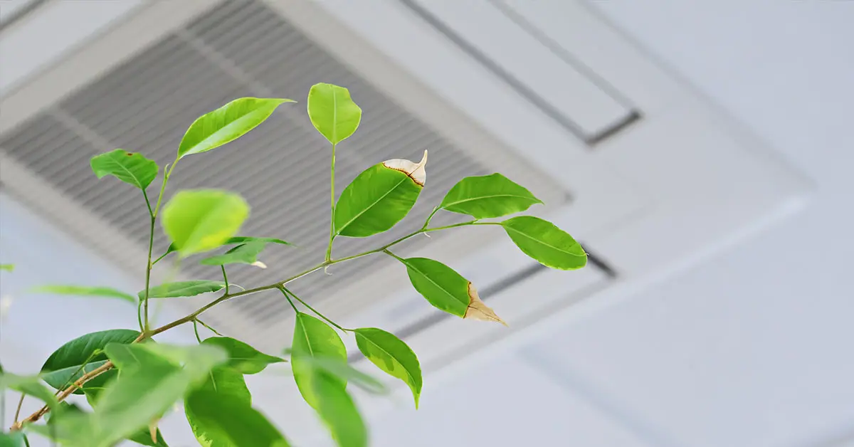 indoor-air-quality