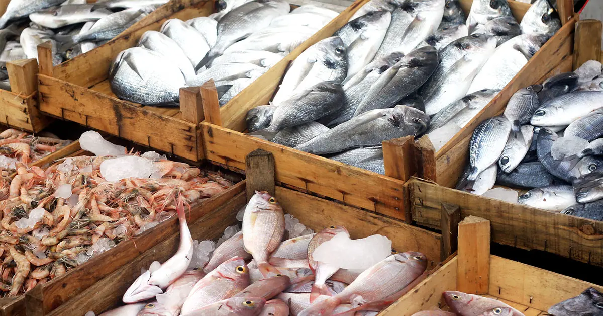 seafood-testing