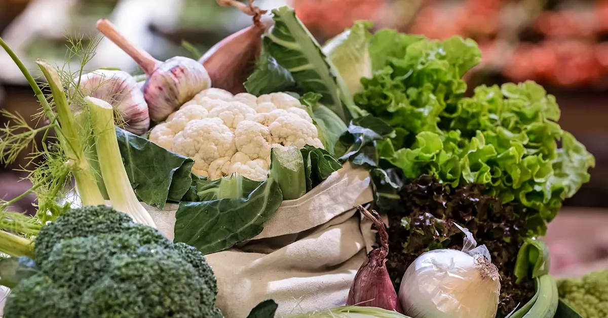 events-biofach-banner