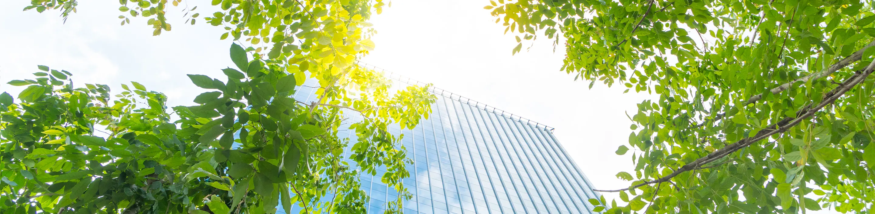 environmental-banner