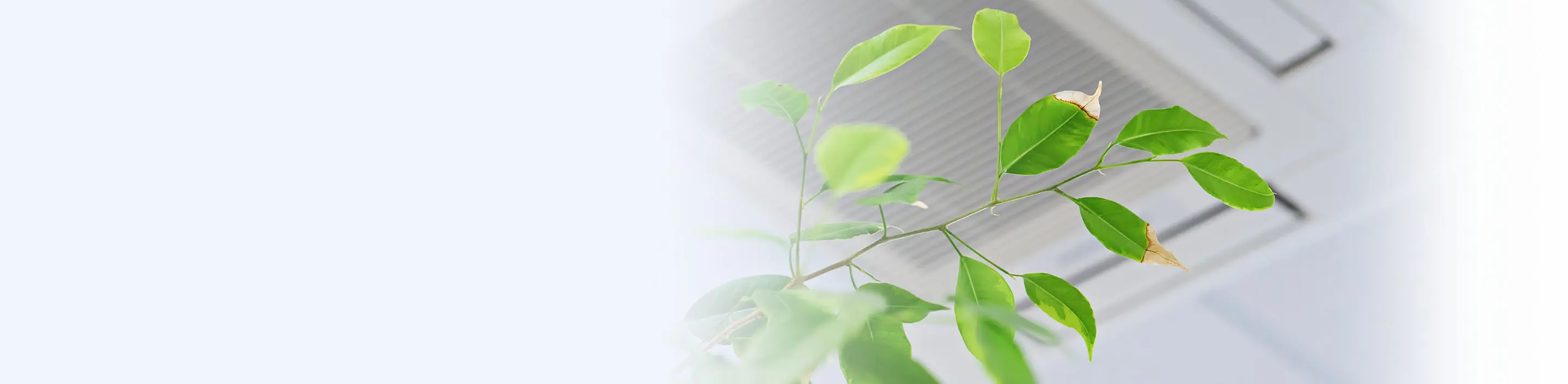 indoor-air-quality-header